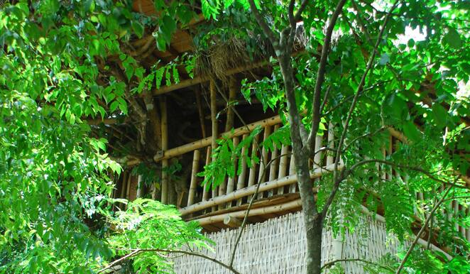 Kalindi Homestay, Wayanad 2